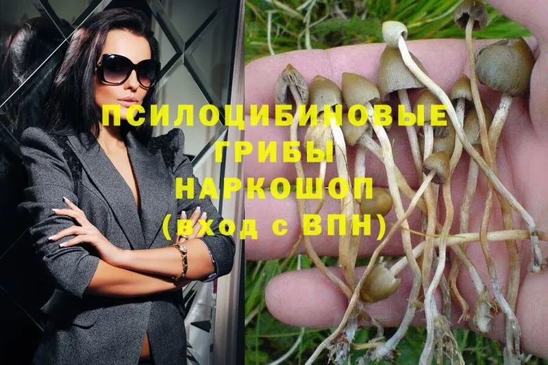 Галлюциногенные грибы Magic Shrooms  закладки  это формула  Бахчисарай 